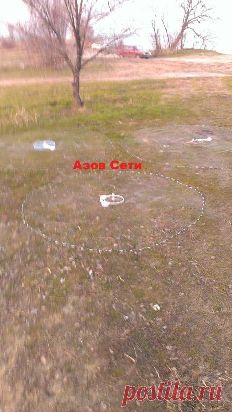 АЗОВ СЕТИ | Кастинговая сеть (azovseti.ru) 
Номер тел--8-909-431-19-92
Почта --  box@azovseti.ru
Сайт  --  Azovseti.ru