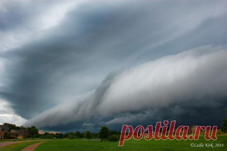 Обреченности на dixiedaughter (Фото) | Weather Underground