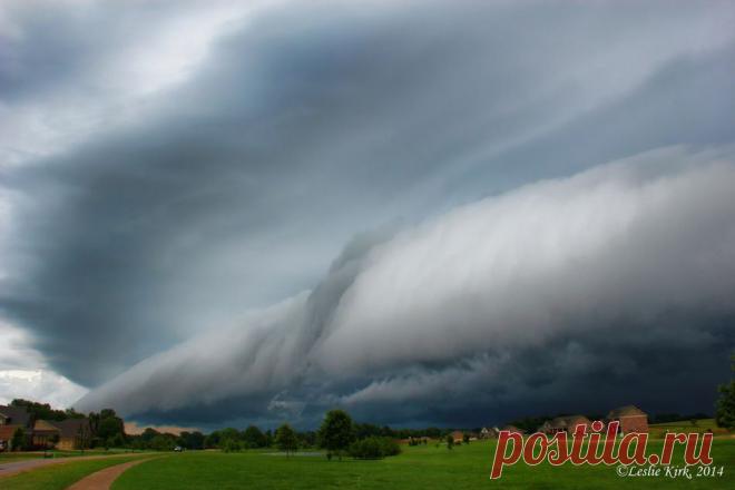 Обреченности на dixiedaughter (Фото) | Weather Underground