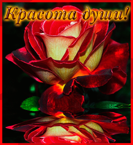 ♡ Видео Музыкальная Открытка — **ЦВЕТОЧНЫЙ МИКС ДЛЯ ДРУЗЕЙ!**