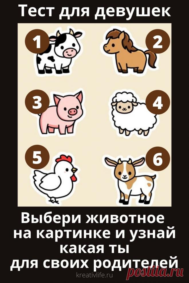 Тест для девушек "Выбери животное" | Психология