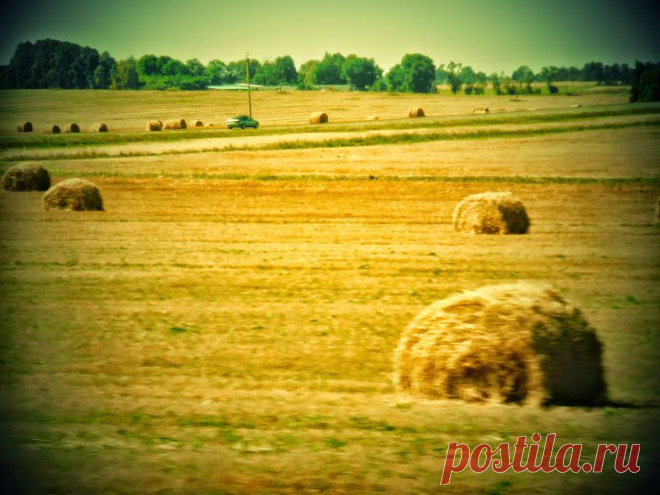 Нина Ворсо – Google+