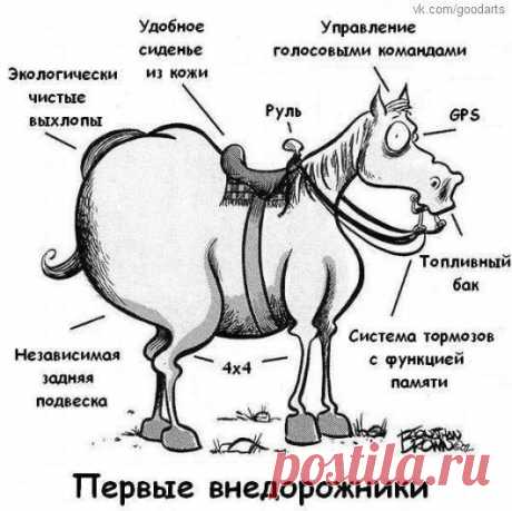 Интересные новости
