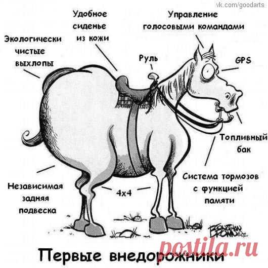Интересные новости
