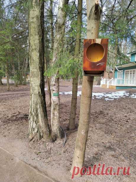 Кормушка из аудиоколонки. 
 
 Замечено у Домика Творчества в Городке Писателей в Подмосковье. 