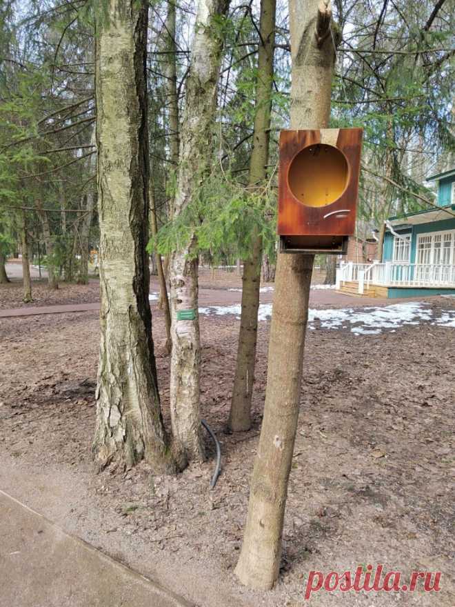 Кормушка из аудиоколонки. 
 
 Замечено у Домика Творчества в Городке Писателей в Подмосковье. 