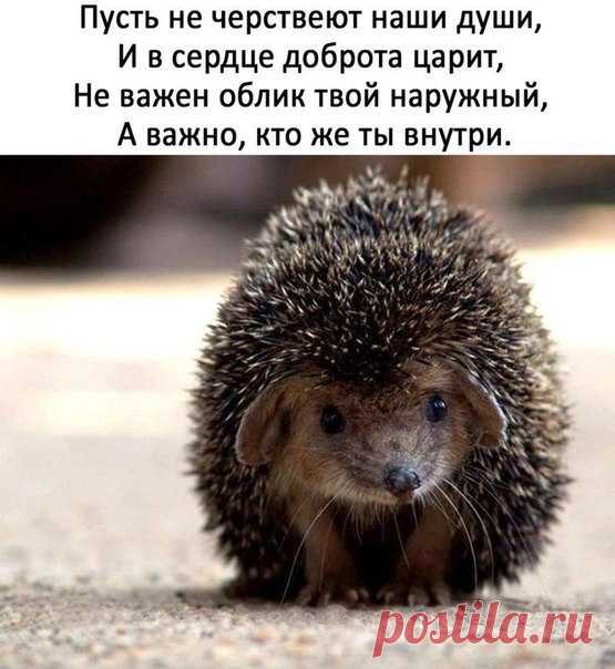 Мой Мир@Mail.Ru