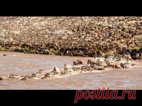 А чего это я бегу то?!