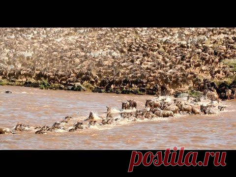 А чего это я бегу то?!