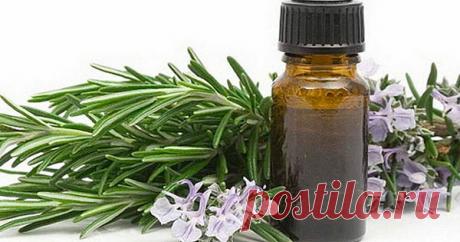 Просто добавьте это в шампунь — и никаких волос на расческе — SmilePub