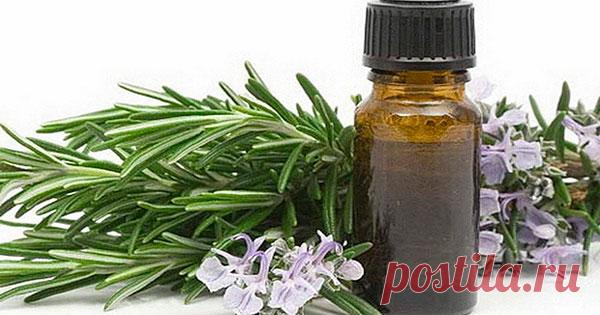 Просто добавьте это в шампунь — и никаких волос на расческе — SmilePub