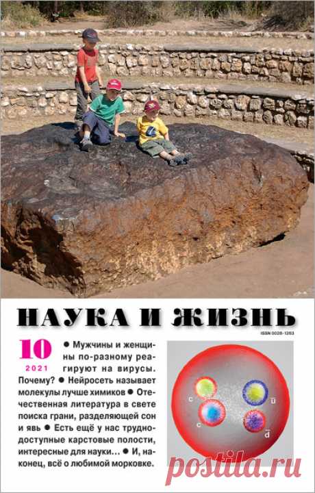 ЖЕНСКИЙ ПУЛОВЕР С &quot;КОСАМИ&quot; (размер 44-46) | Наука и жизнь