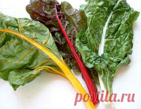 Голубцы с мангольдом - Рецепты | Вторые блюда | Мясные блюда - Газета УМНОЕ ХОЗЯЙСТВО