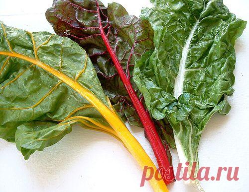 Голубцы с мангольдом - Рецепты | Вторые блюда | Мясные блюда - Газета УМНОЕ ХОЗЯЙСТВО