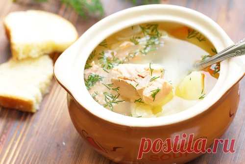 Суп из красной рыбы - Уха из форели рецепт - Простые рецепты Овкусе.ру