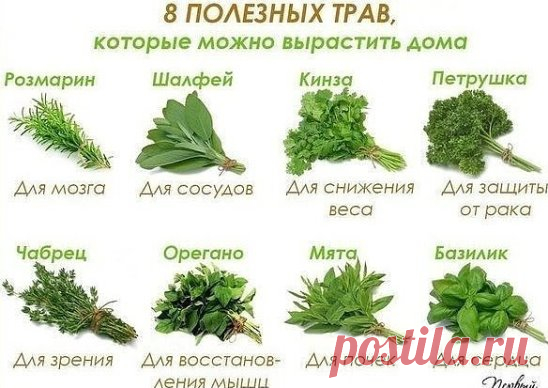 (36) Одноклассники