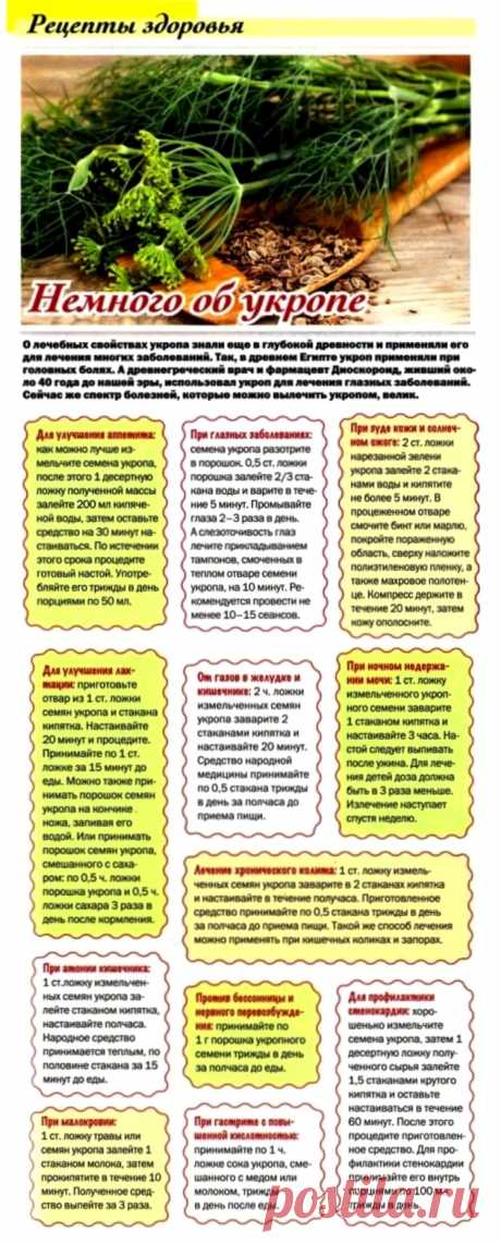 Укроп