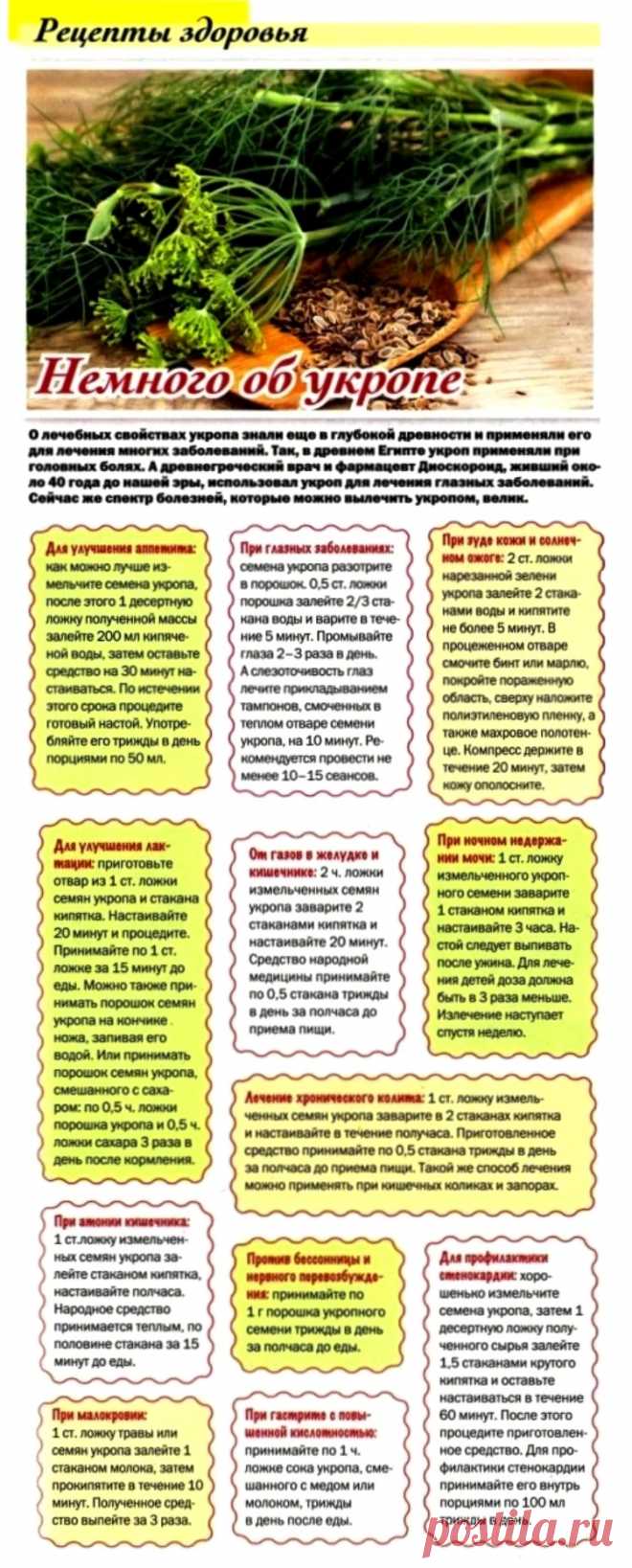 Укроп