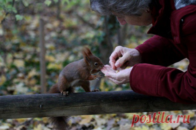 20 лучших фотографий недели (16.12.2013-22.12.2013) | В мире интересного