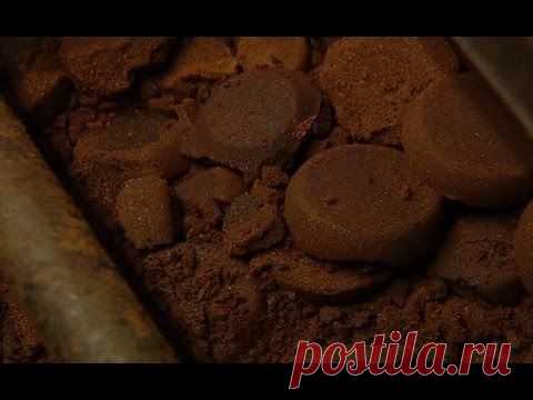 Кофейный осадок – антиоксидант сильнее витамина С