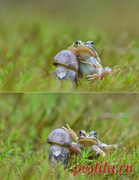 35PHOTO - Вячеслав Мищенко - Жизнь удалась.