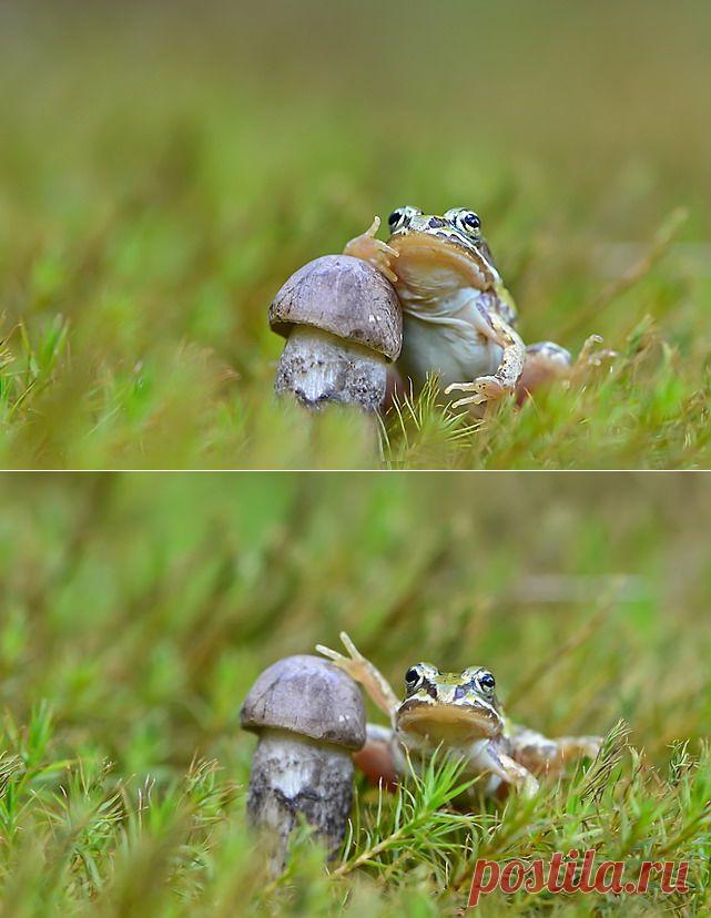 35PHOTO - Вячеслав Мищенко - Жизнь удалась.