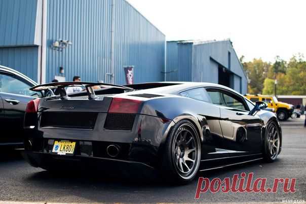 Lamborghini Gallardo / Только машины