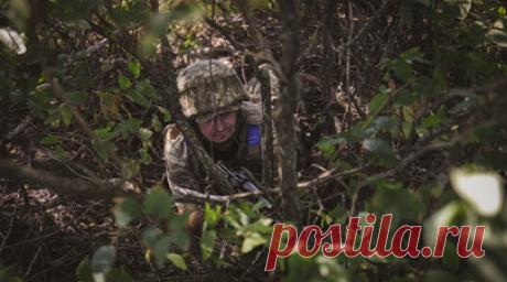 МО: за неделю ВСУ потеряли более 3275 бойцов в зоне «Востока». За минувшую неделю в зоне ответственности группировки войск «Восток» потери Вооружённых сил Украины превысили 3275 военнослужащих. Об этом сообщило Минобороны России. Читать далее