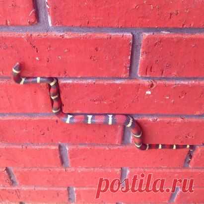 Одноклассники