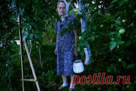 Прости меня, сынок, но никуда я отсюда не уеду, здесь мой дом Баба Лена, как окаменела, невозмутимо сидела у окна уже несколько часов. «Как они здесь, в этом городе живут весь век? Что здесь хорошего? Сидишь, как в клетке. Как же я по землице соскучилась…» Вытерла краем фартука скупую слезу...