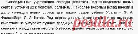 Груша - Сады Сибири