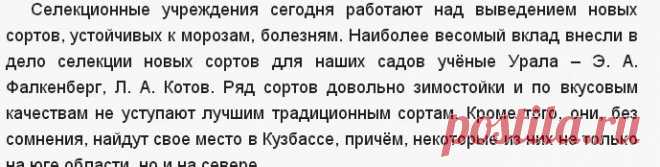 Груша - Сады Сибири