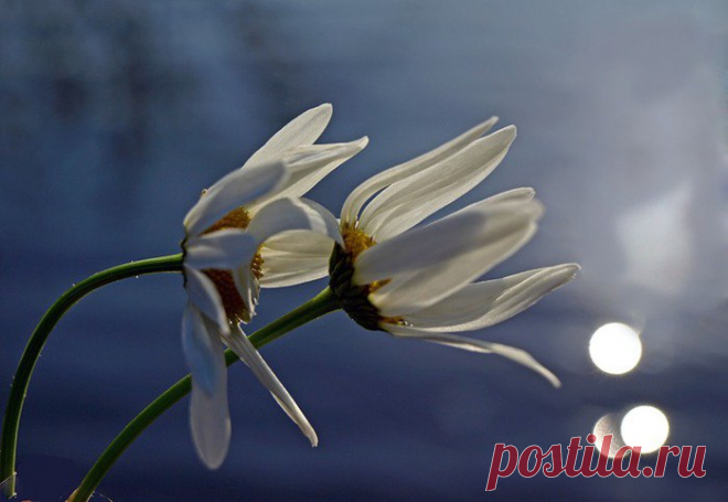 Интересные новости