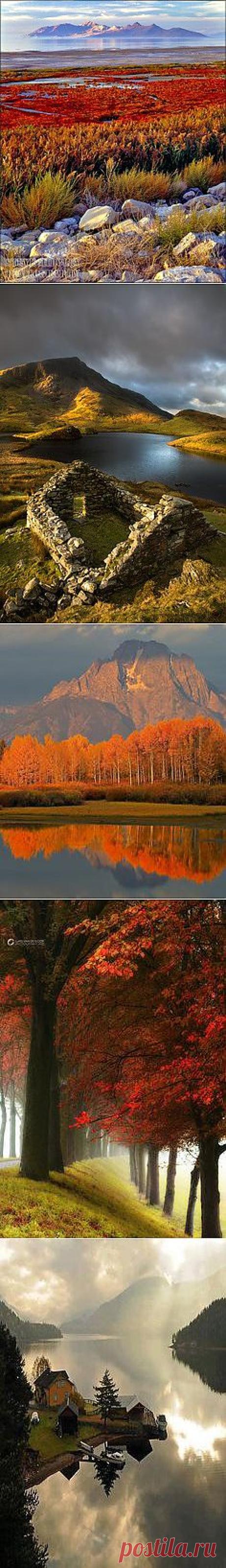 Nature
