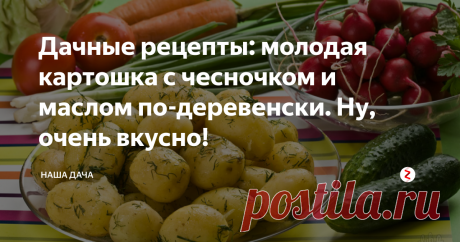 Дачные рецепты: молодая картошка с чесночком и маслом по-деревенски. Ну, очень вкусно! Среди прочей снеди был у нее пакет молодой картошки: подкопала буквально перед отъездом. Некоторые картошины уже хорошие, «есть за что подержать», некоторые еще совсем крошки, размером с перепелиное яйцо. Кожурка на таких клубнях совсем тоненькая, облупленная, а сами клубеньки – молочные, в них много сока. Что с такой делать – пожарить? Так кожуры больше отрежу, чем останется.