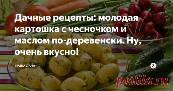 Дачные рецепты: молодая картошка с чесночком и маслом по-деревенски. Ну, очень вкусно! Среди прочей снеди был у нее пакет молодой картошки: подкопала буквально перед отъездом. Некоторые картошины уже хорошие, «есть за что подержать», некоторые еще совсем крошки, размером с перепелиное яйцо. Кожурка на таких клубнях совсем тоненькая, облупленная, а сами клубеньки – молочные, в них много сока. Что с такой делать – пожарить? Так кожуры больше отрежу, чем останется.