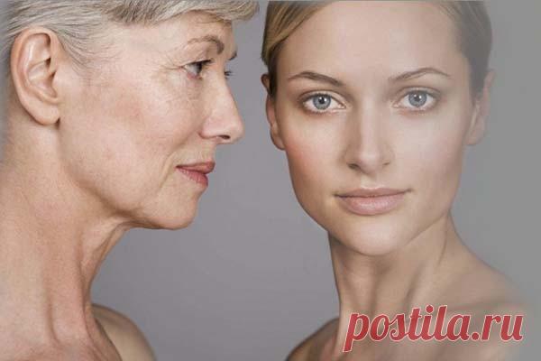 3 этапа СТАРЕНИЯ выделили ученые Американские генетики из Стэнфорда решили исследовать версию о том, что человек стареет плавно, постепенно и ежедневно становится чуть старее, чем в предыдущий день. Дело в том, что в ученом мире есть другая теория старения, согласно которой человек стареет скачкообразно, и во...