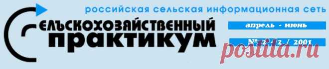 Как сделать сыр, масло, йогурт