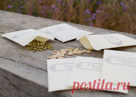 15 самых серьезных ошибок при выращивании рассады