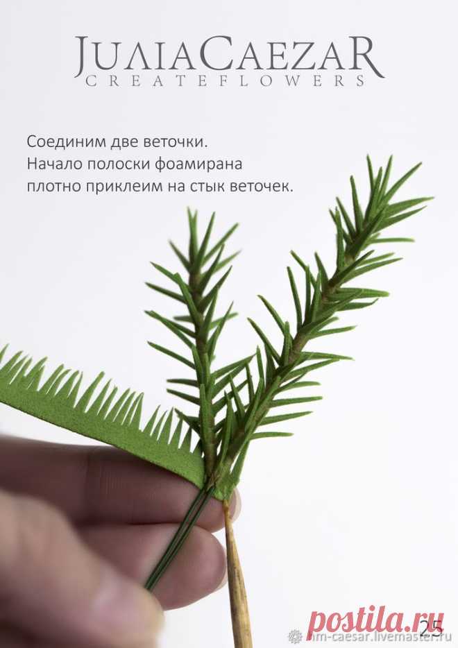 Мастер-класс 