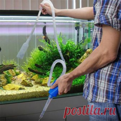 Эффективные удобрения для комнатных и садовых растений, которые есть дома у каждого — Лайфхаки