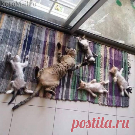 Мама плохому не научит!