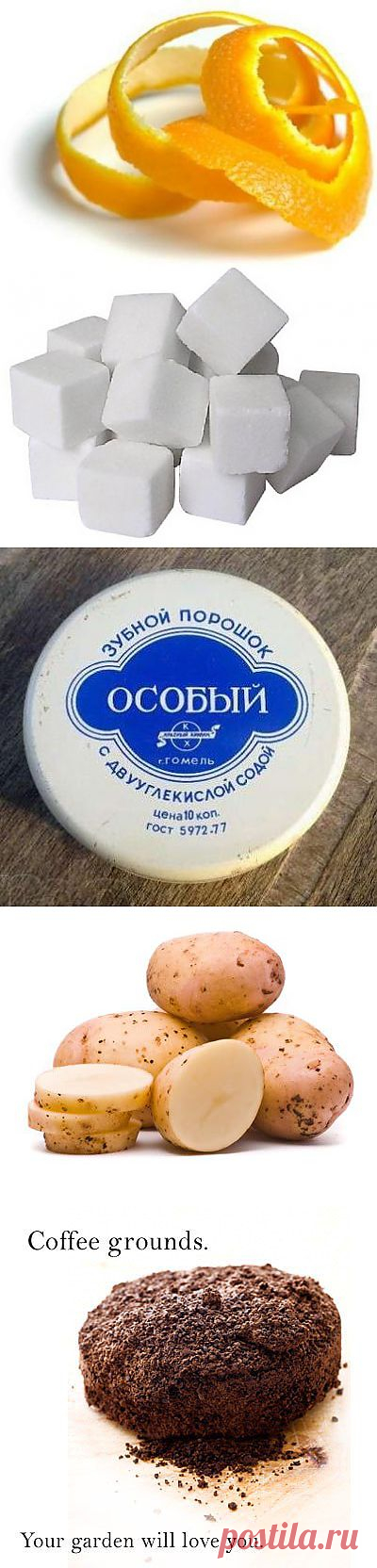 ПОЛЕЗНЫЕ СОВЕТЫ САДОВОДАМ.