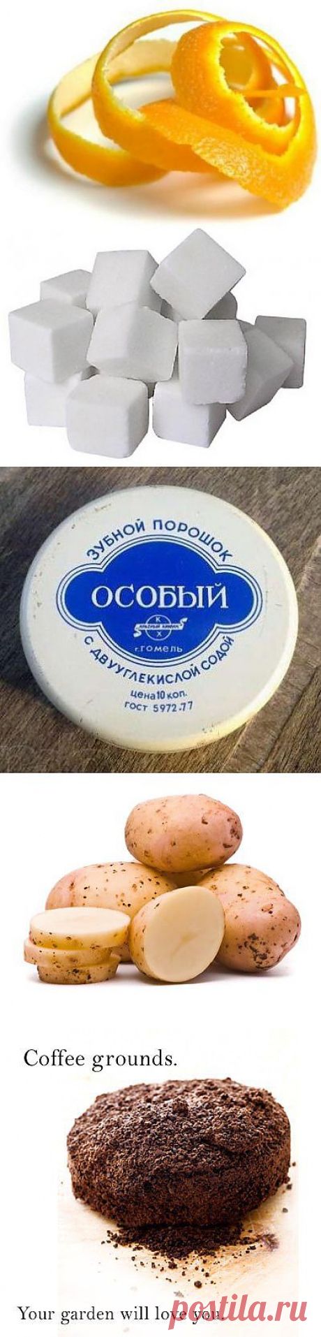 ПОЛЕЗНЫЕ СОВЕТЫ САДОВОДАМ.
