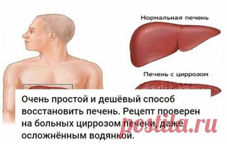 То, что сделает с твоей печенью 1 стакан этого напитка, можно назвать настоящим чудом!