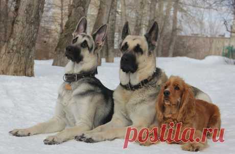 Мой Мир@Mail.Ru