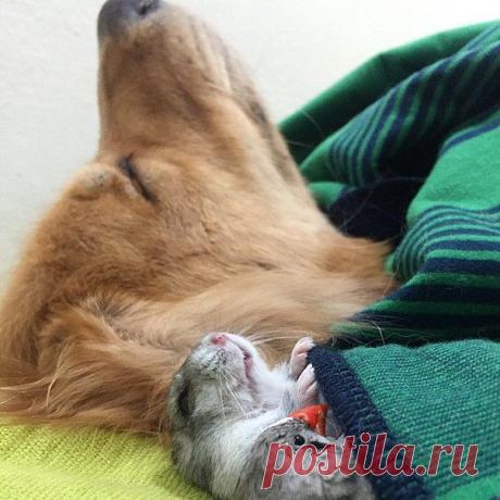 Диалоги