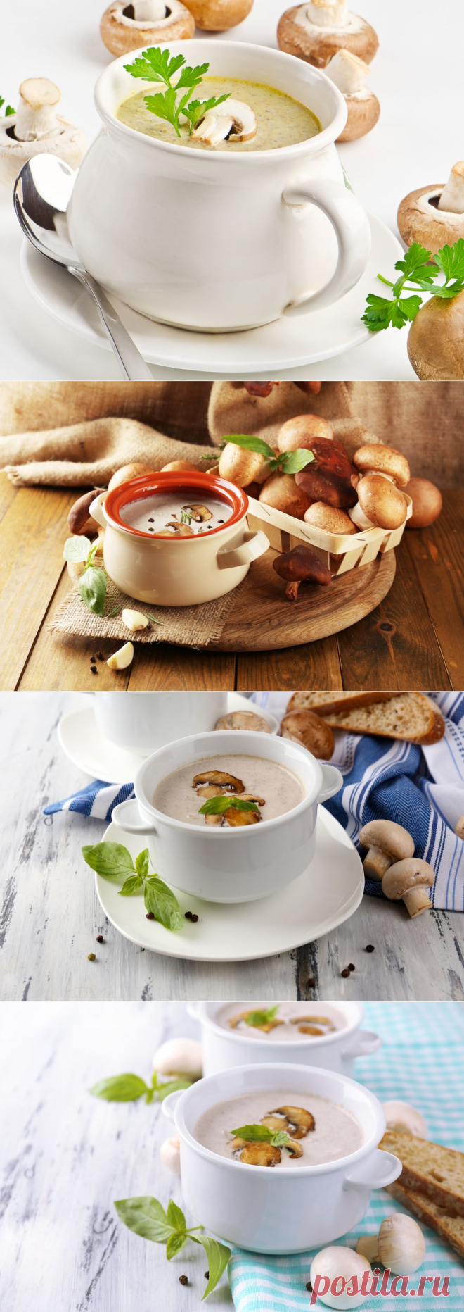 Рецепты вкуснейшего грибного крем-супа: 4 варианта блюда с шампиньонами.