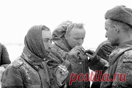 В День Победы • НОВОСТИ В ФОТОГРАФИЯХ
