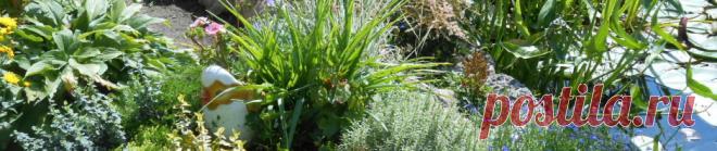 Поздравительные музыкальные открытки | Райский уголок у Ольги